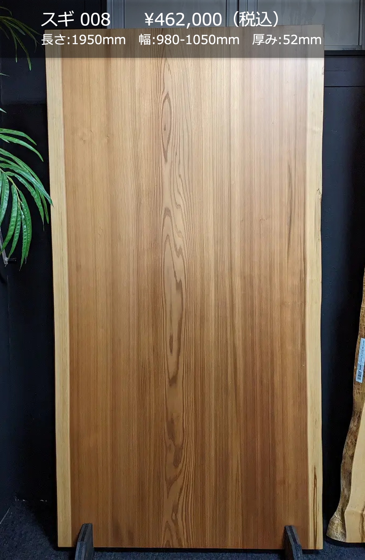 一枚板写真 スギ 008